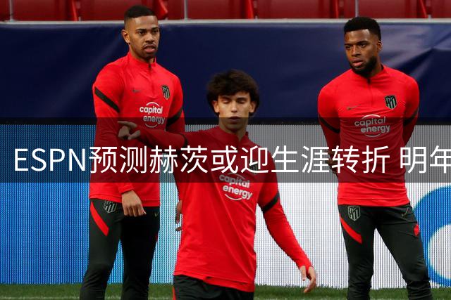 ESPN预测赫茨或迎生涯转折 明年有望获老鹰天价续约
